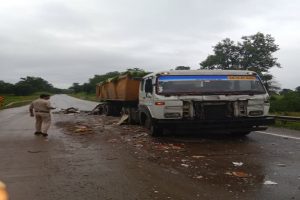 7 people died in a road accident