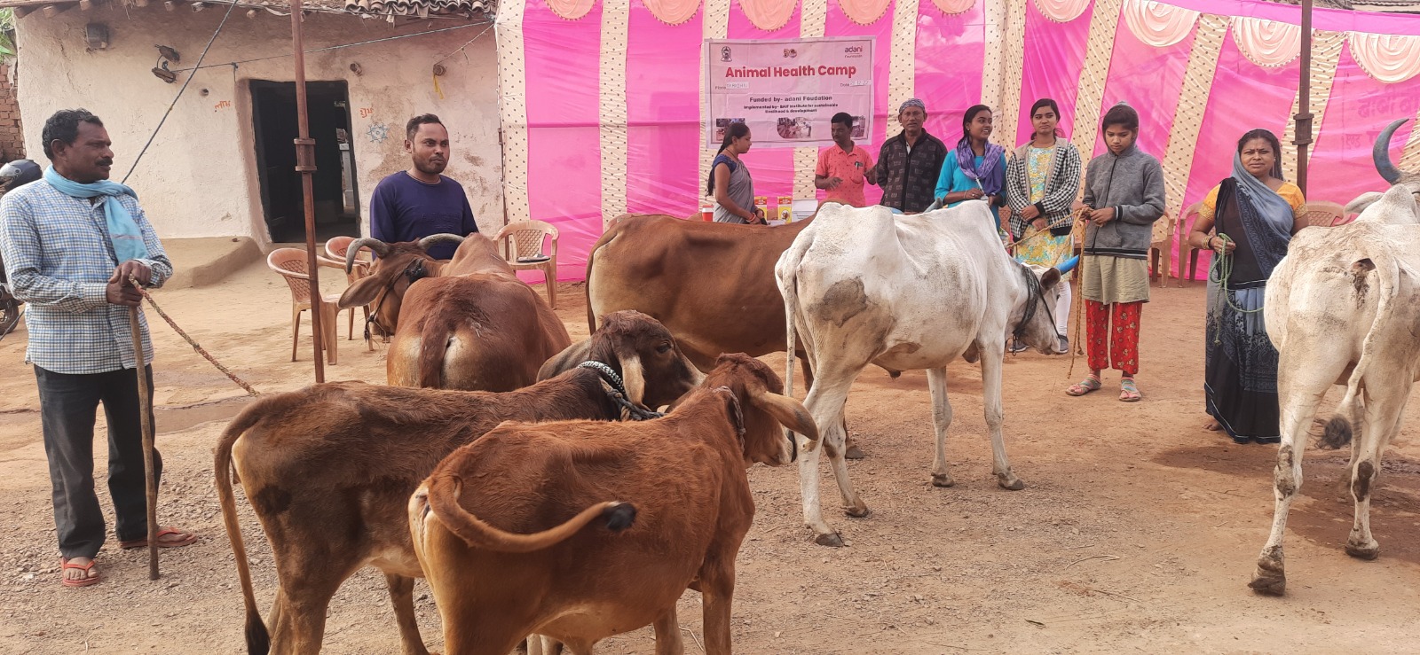 Adani programs in livestock