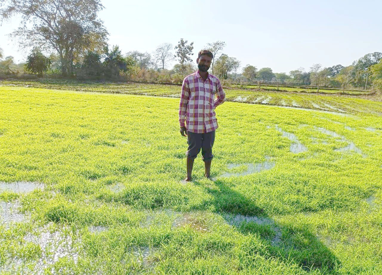 रायपुर : छत्तीसगढ़ बन रहा देश का मिलेट हब